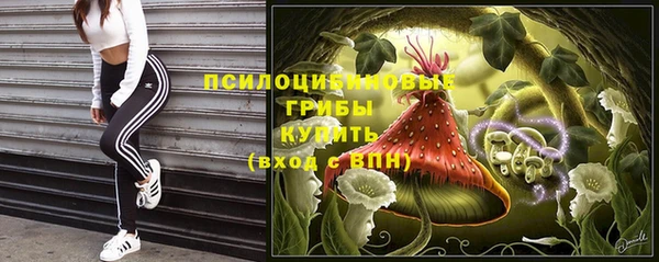 соль ск Покровск