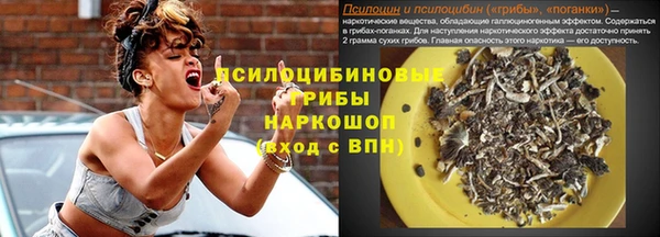 прущие грибы Протвино
