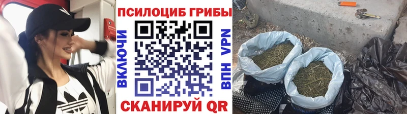 Псилоцибиновые грибы Psilocybine cubensis  Купить  Кировград 